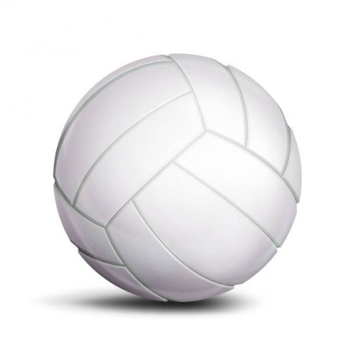 Volley Ball